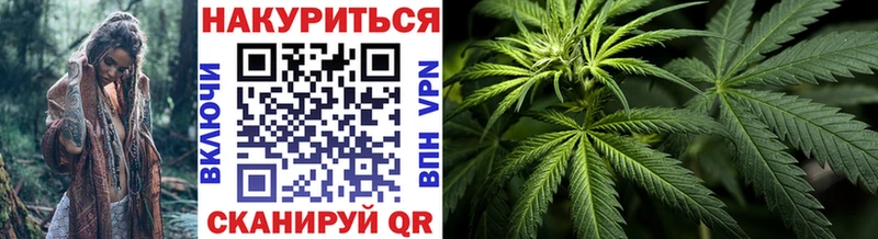 где можно купить наркотик  Сясьстрой  Марихуана THC 21% 